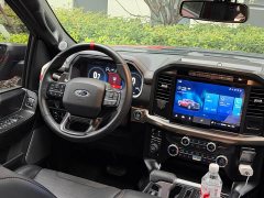 Ford F-150 Raptor 3.5T Raptor Blaze Storm Special Edition - ფოტო 8