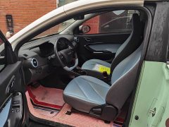 Chery Ant Sweet Pink Half-Sugar Phosphate Iron Lithium 30kW 301km - photo 2