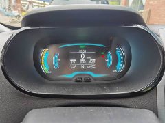 Chery Ant Sweet Pink Half-Sugar Phosphate Iron Lithium 30kW 301km - photo 4