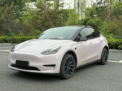 Tesla Model Y Rear-Wheel Drive - ფოტო 1