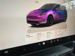 Tesla Model Y Rear-Wheel Drive - ფოტო 10