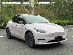 Tesla Model Y Rear-Wheel Drive - ფოტო 3
