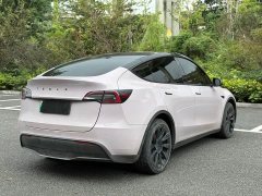 Tesla Model Y Rear-Wheel Drive - ფოტო 5