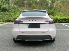 Tesla Model Y Rear-Wheel Drive - ფოტო 6