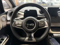 BYD Dolphin 2025 420km Freedom Edition - ფოტო 13