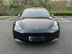 Tesla Model 3 Standard Range RWD Upgrade - ფოტო 2