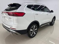 Haval H6 National Trend Edition 1.5T Automatic Champion Version - ფოტო 4
