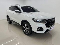 Haval H6 National Trend Edition 1.5T Automatic Champion Version - ფოტო 3