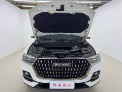 Haval H6 National Trend Edition 1.5T Automatic Champion Version - ფოტო 7