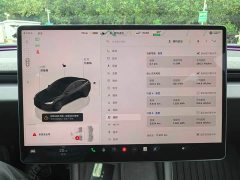 Tesla Model 3 2023 Rear-Wheel Drive - ფოტო 9