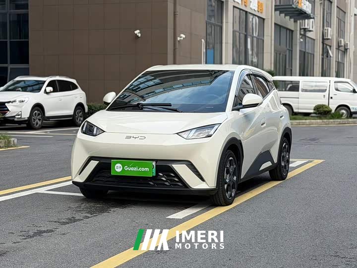 BYD Seagull Glory Edition 405km Flying Edition - ავტომობილი ჩინეთიდან