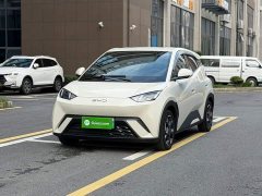 BYD Seagull Glory Edition 405km Flying Edition - ფოტო 1