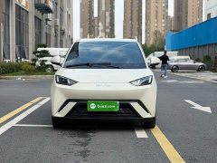 BYD Seagull Glory Edition 405km Flying Edition - ფოტო 2