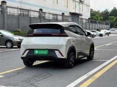 BYD Seagull Glory Edition 405km Flying Edition - ფოტო 4