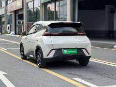 BYD Seagull Glory Edition 405km Flying Edition - ფოტო 6