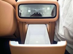 Leapmotor D19 Extended Range 500 Deluxe Edition Six-Seater - ფოტო 14