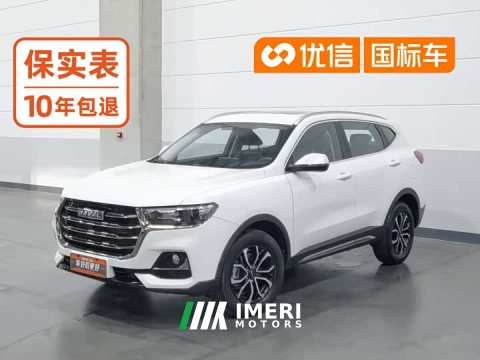 2021 Haval H6 National Trend Edition 1.5T Automatic Urban Version - автомобиль из Китая