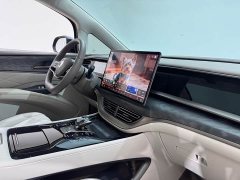 Denza BYD Denza D9 2022 DM-i 1040 Premium - ფოტო 10