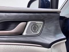Denza BYD Denza D9 2022 DM-i 1040 Premium - ფოტო 17