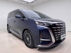 Denza BYD Denza D9 2022 DM-i 1040 Premium - ფოტო 3