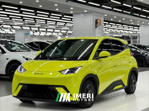 2023 BYD Seagull Vitality Edition - ავტომობილი ჩინეთიდან