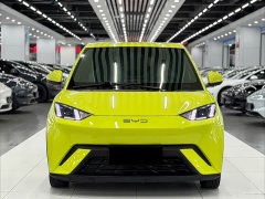 BYD Seagull Vitality Edition - ფოტო 2