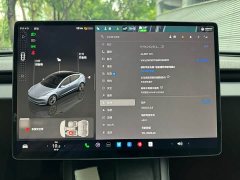 Tesla Model 3 2023 Rear-Wheel Drive - ფოტო 6