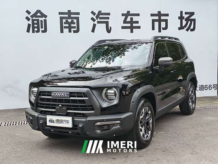 Great Wall Dachshund 2024 2.0T DCT Chinese Rural Dog Edition - ავტომობილი ჩინეთიდან