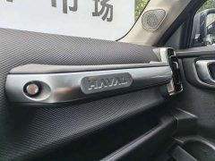 Great Wall Dachshund 2024 2.0T DCT Chinese Rural Dog Edition - ფოტო 17