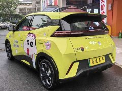 BYD Seagull Vitality Edition - ფოტო 11