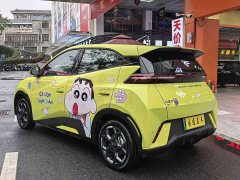 BYD Seagull Vitality Edition - ფოტო 13