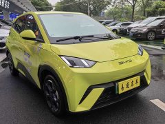 BYD Seagull Vitality Edition - ფოტო 16