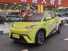 BYD Seagull Vitality Edition - ფოტო 5