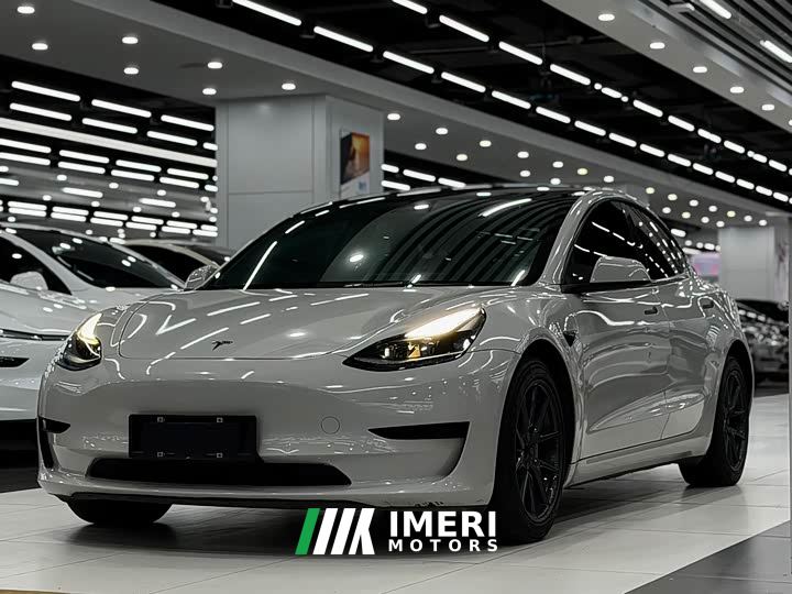 Tesla Model 3 Standard Range RWD Upgrade 3D6
