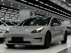 Tesla Model 3 Standard Range RWD Upgrade 3D6 - ფოტო 1