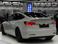 Tesla Model 3 Standard Range RWD Upgrade 3D6 - ფოტო 2