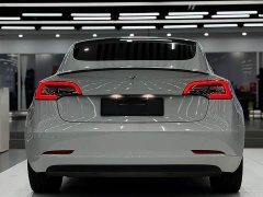 Tesla Model 3 Standard Range RWD Upgrade 3D6 - ფოტო 3