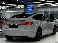 Tesla Model 3 Standard Range RWD Upgrade 3D6 - ფოტო 4