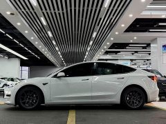Tesla Model 3 Standard Range RWD Upgrade 3D6 - ფოტო 5