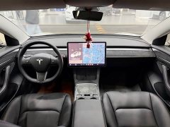 Tesla Model 3 Standard Range RWD Upgrade 3D6 - ფოტო 6