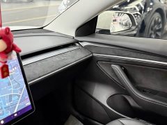 Tesla Model 3 Standard Range RWD Upgrade 3D6 - ფოტო 8