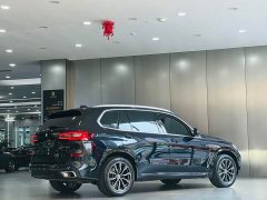 BMW X5 2022 xDrive 30Li Luxury M Sport Package - ფოტო 7