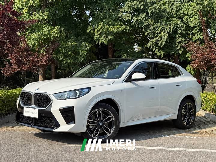 BMW X2 (Imported) 2024 sDrive25i M Sport Package - ავტომობილი ჩინეთიდან