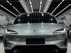 Tesla Model 3 2023 Rear-Wheel Drive - ფოტო 2