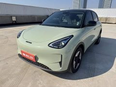 Geely Star Wish 410km Freedom Edition - ფოტო 1