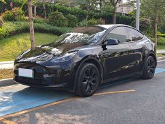 Tesla Model Y Rear-Wheel Drive - ფოტო 1