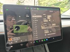 Tesla Model Y Rear-Wheel Drive - ფოტო 10