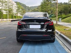 Tesla Model Y Rear-Wheel Drive - ფოტო 16