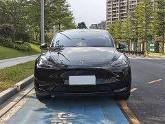 Tesla Model Y Rear-Wheel Drive - ფოტო 2