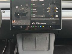 Tesla Model Y Rear-Wheel Drive - ფოტო 9